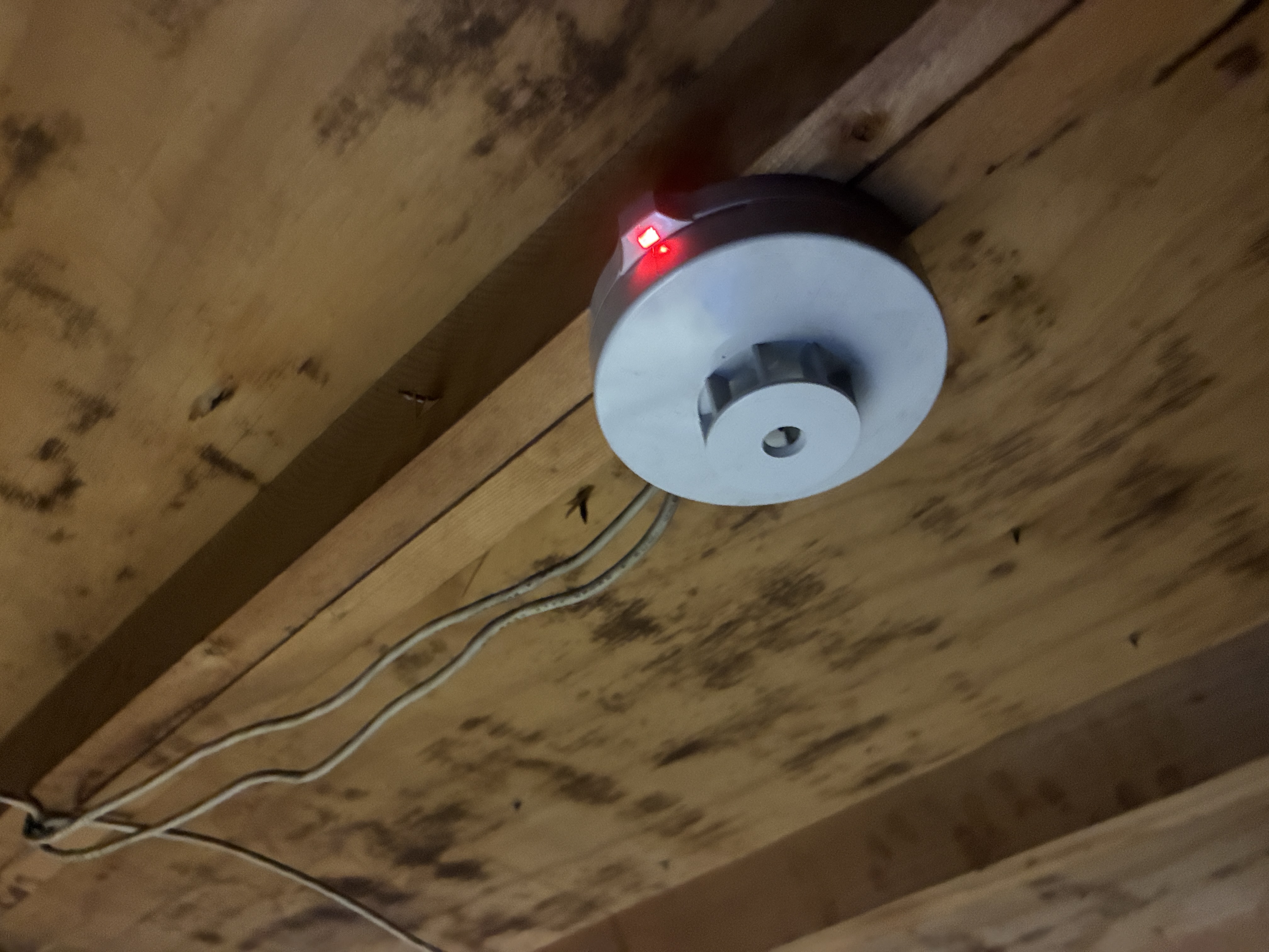 小屋裏（屋根裏）の梁で交換した定温式スポット型感知器。動作確認灯が点灯している