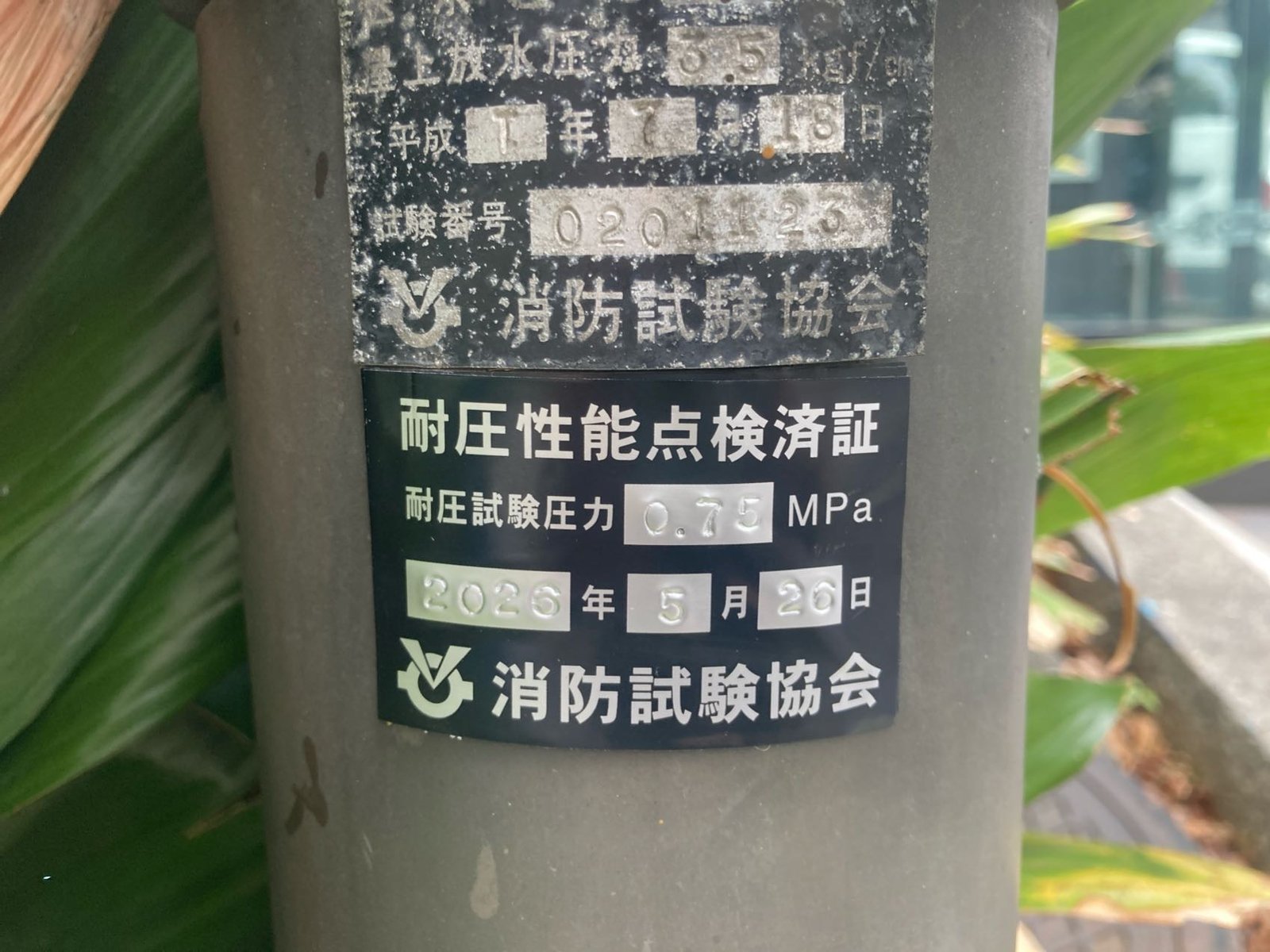 連結送水管の送水口に貼付した耐圧性能点検済証。試験圧力と実施日が記載されている