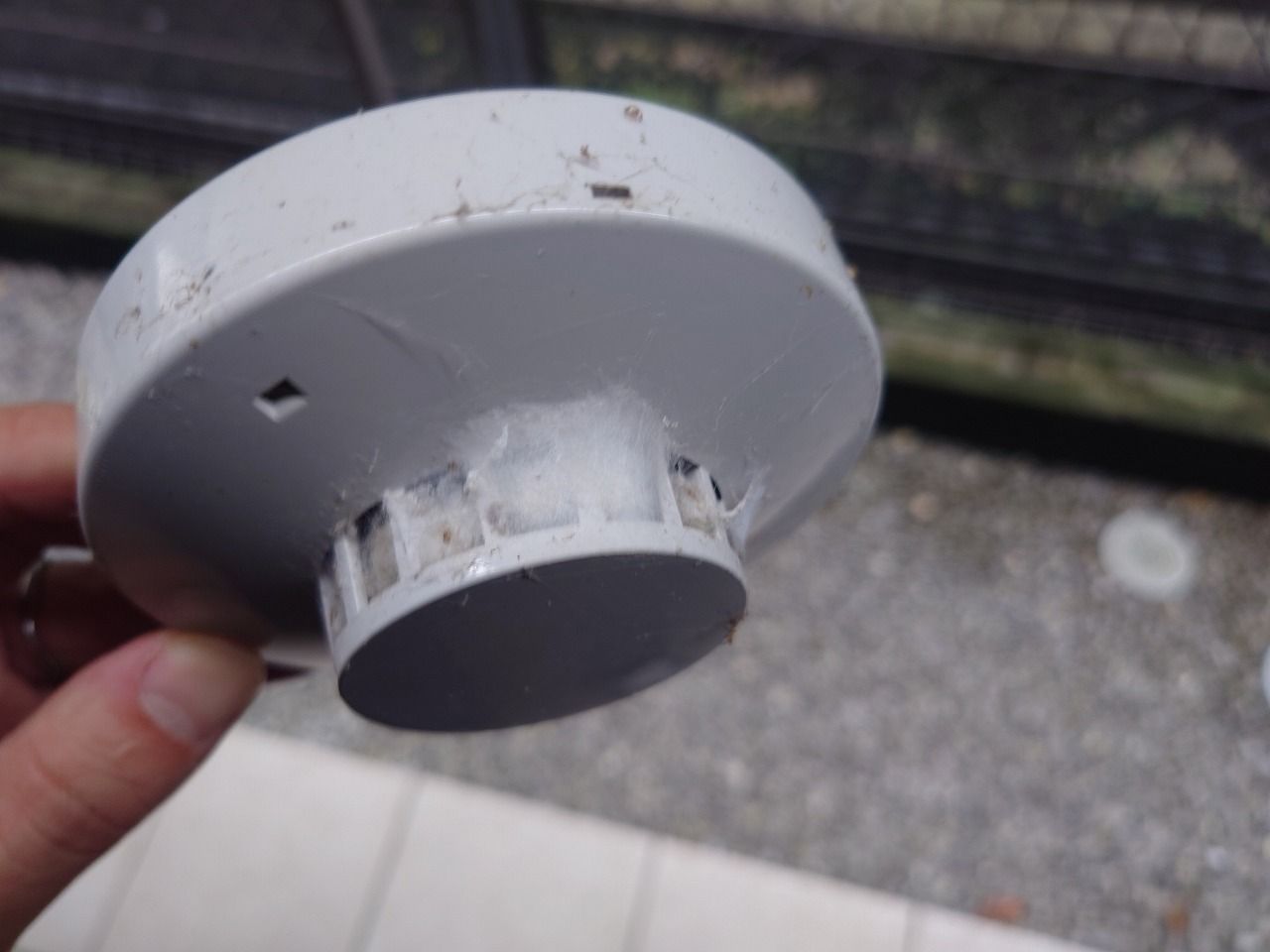 階段上部から取り外した煙感知器。側面と防虫網にほこりと蜘蛛の巣が付着している