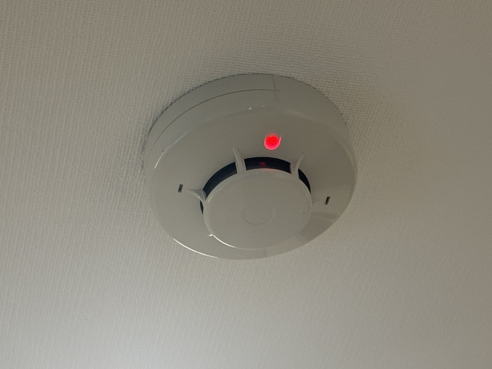 天井の煙感知器。側面の赤い確認灯が点灯している